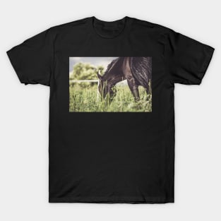 Romantic mood on the horse pasture T-Shirt